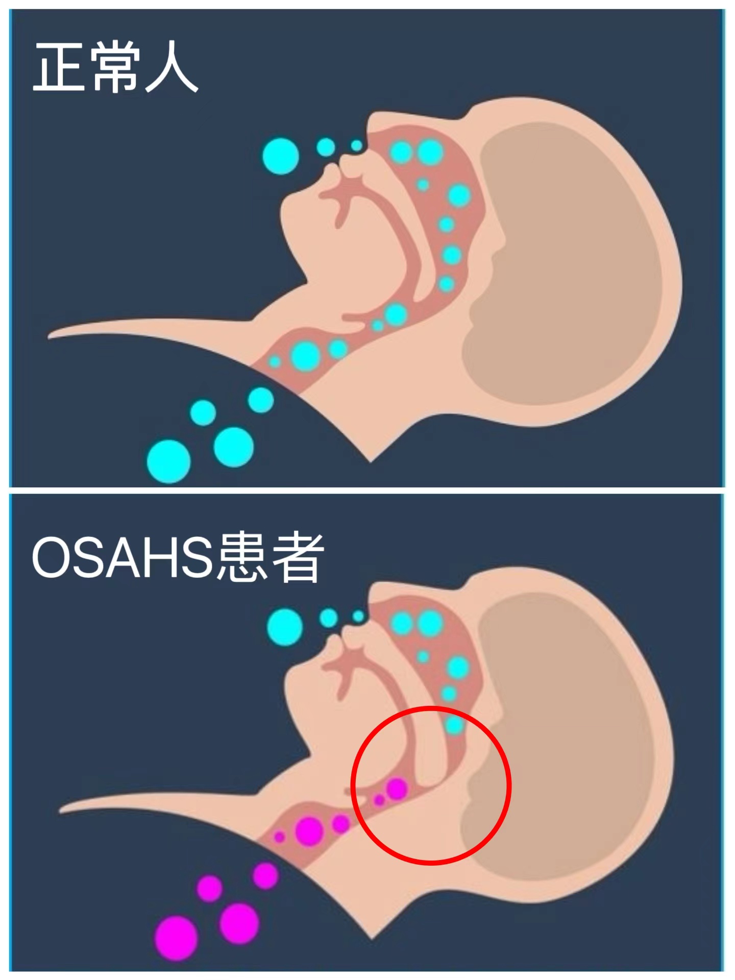 太阳网集团tcy8722